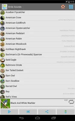 Birds Sounds android App screenshot 0