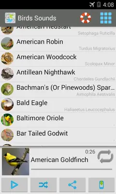 Birds Sounds android App screenshot 6