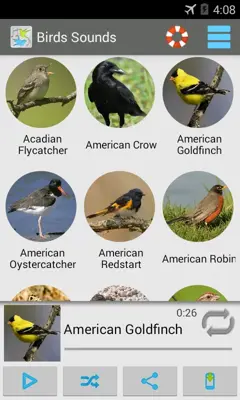 Birds Sounds android App screenshot 7